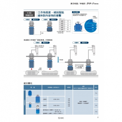 TS100-128-ZP3PJT_page-0003.jpg