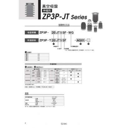 TS100-128-ZP3PJT_page-0004.jpg