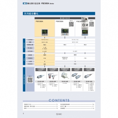 TS100-126-PSE300A_page-0004.jpg