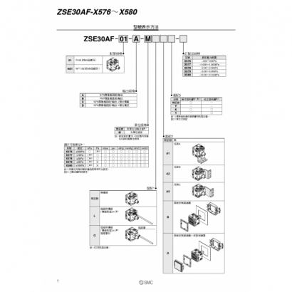 T16-673-ZSE30AF_page-0002.jpg