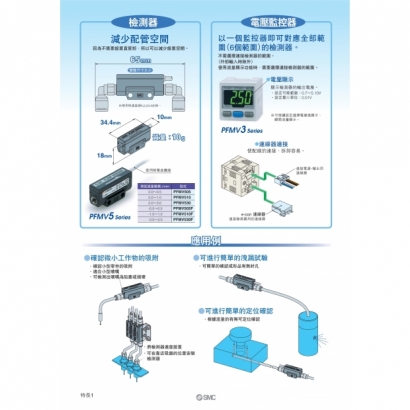 PFMV-B_page-0002.jpg