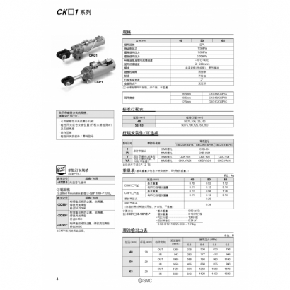 CS20-225B-CK1_page-0002.jpg