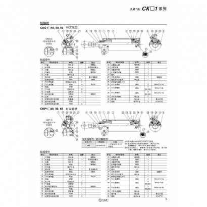 CS20-225B-CK1_page-0003.jpg