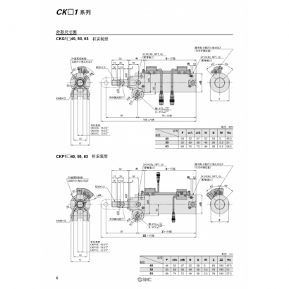 CS20-225B-CK1_page-0004.jpg