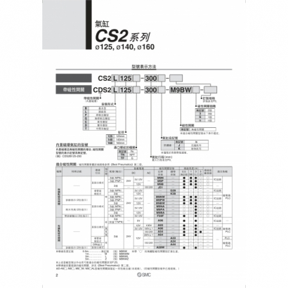 CS20-196B-CS2_page-0004.jpg