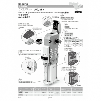 CKZ3-CS20-202A_page-0002.jpg