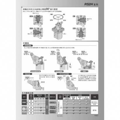 CS20-216A-RS2H_page-0003.jpg