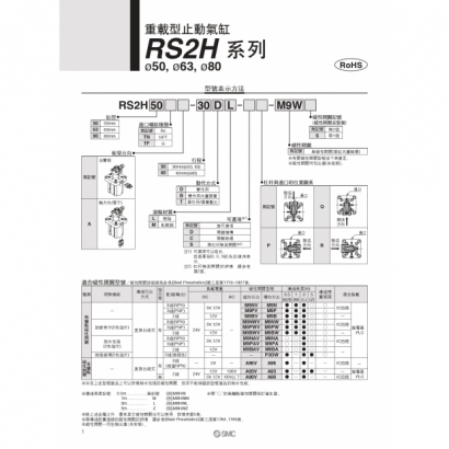 CS20-216A-RS2H_page-0006.jpg