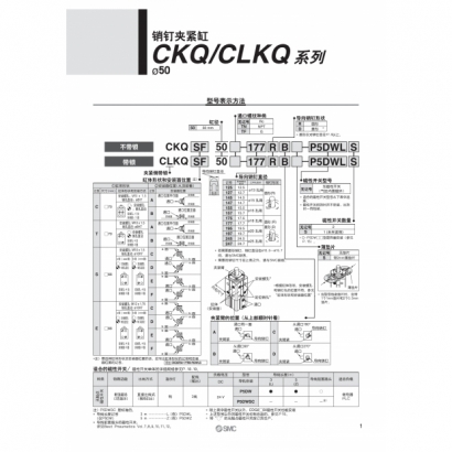 okCS20-183A-CKQ_page-0003.jpg