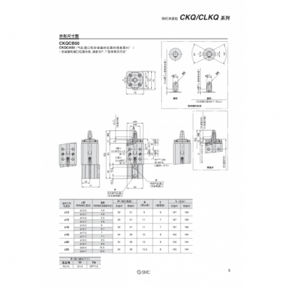 okCS20-183A-CKQ_page-0007.jpg