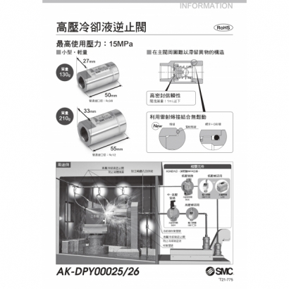 T21-775-AK_page-0001.jpg