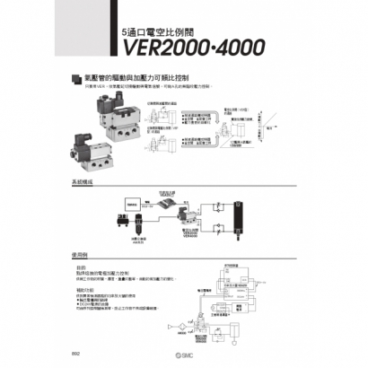 VER_page-0001.jpg