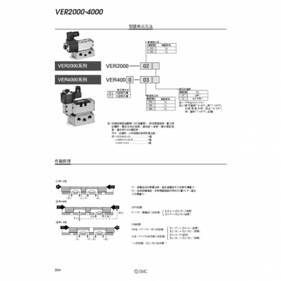 VER_page-0003.jpg