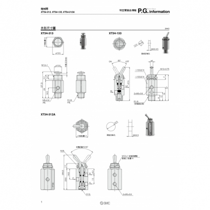 TSP163X-021J-XT34_page-0002.jpg