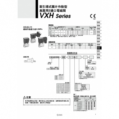 Best-VXH22_page-0001.jpg