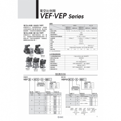 VEFVEP_page-0001.jpg