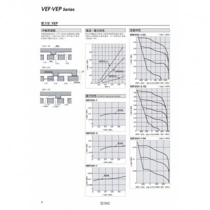 VEFVEP_page-0004.jpg