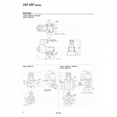 VEFVEP_page-0006.jpg