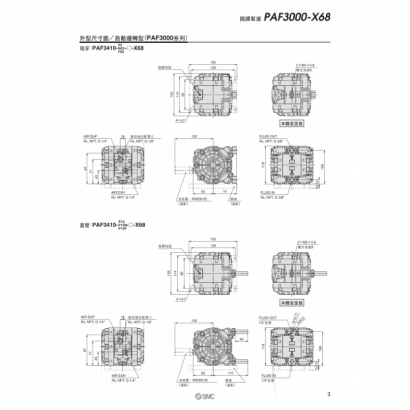 T09-557-PAF3000_page-0003.jpg