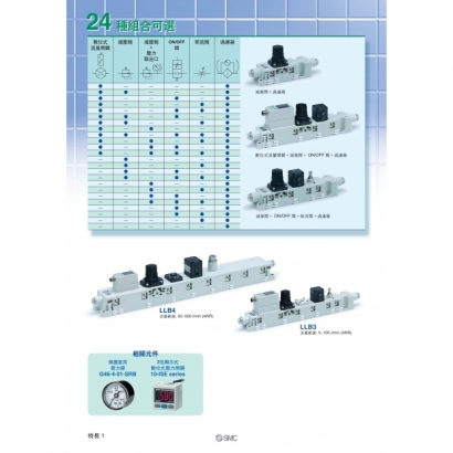 okTS100-66A-LLB_page-0002.jpg